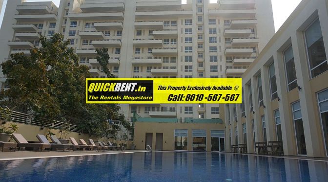 3 Bedroom Apartments for Rent in MGF Vilas