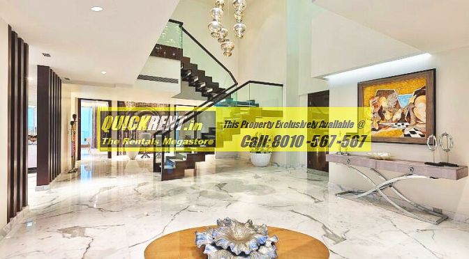 Penthouse for Rent in DLF Magnolias